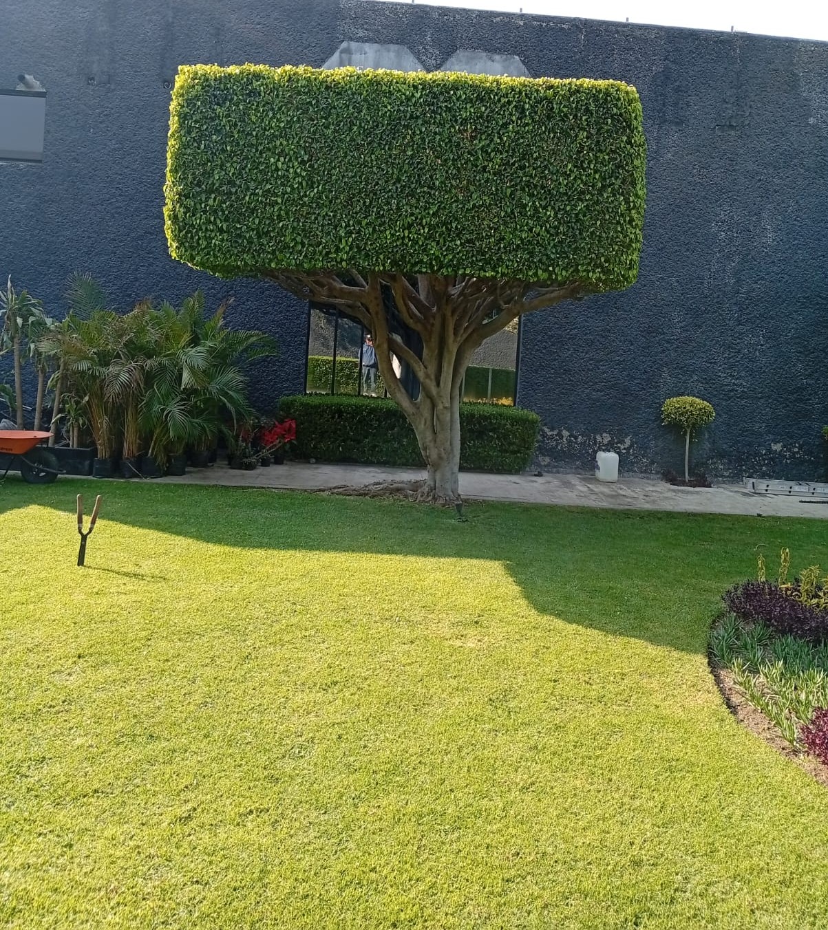 Mantenimiento de jardines